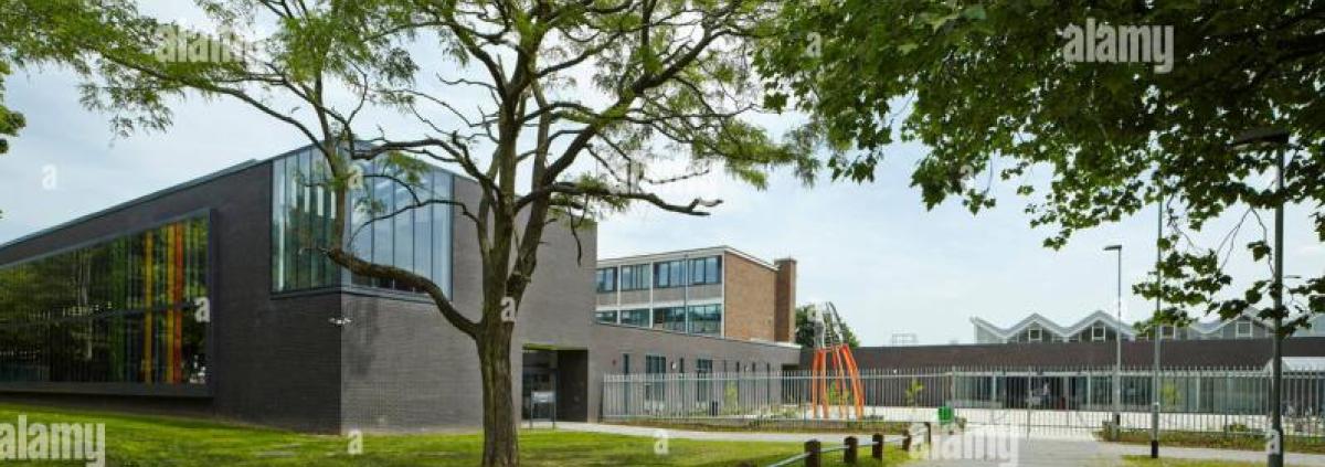 Wednesfield Academy Logo